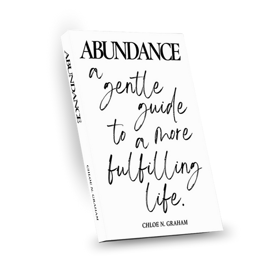 Abundance Paperback